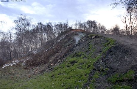 Halda Ema