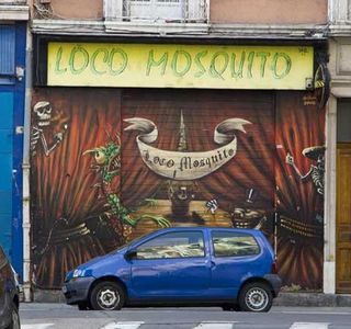 Loco Mosquito