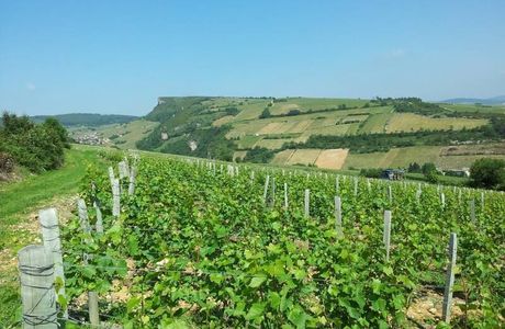 Domaine du Roure