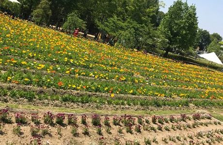 Tondabayashi Savor Farm