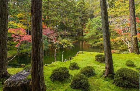 Saihoji Temple