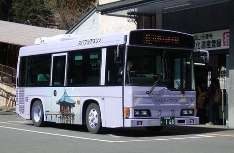 Kojak Bus