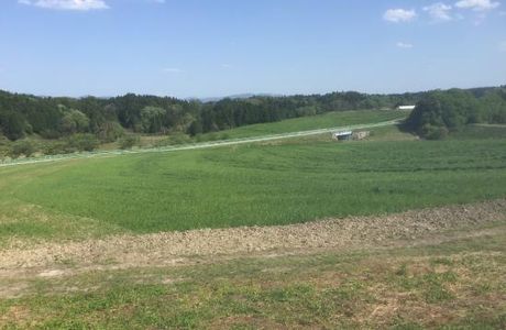 Narita Fureai Ranch