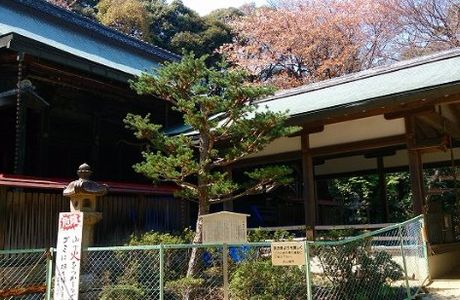 The Ruins of Yamazaki Castle