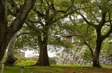 Kifune Park