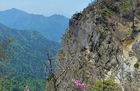 Mt. Katamuki