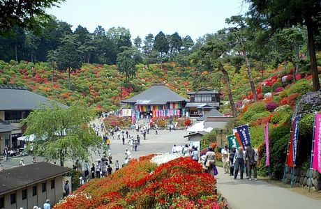Kannon Fall