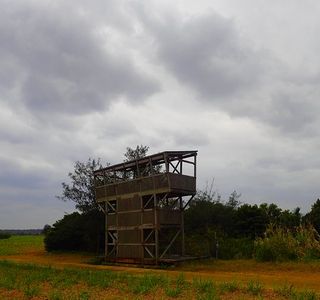 Oike no Ohirugi Gunraku