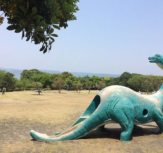 Sakurajima Nature Dinosaur Park