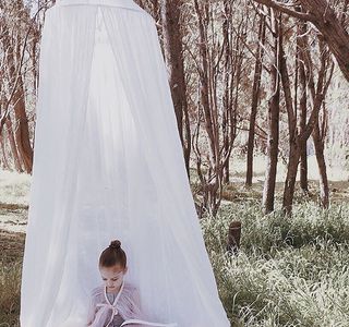 Dream Canopy
