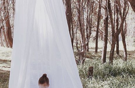 Dream Canopy
