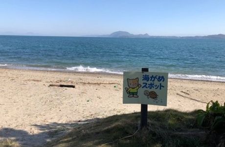 Kojima Swimming Beach