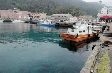 Nikoya Port