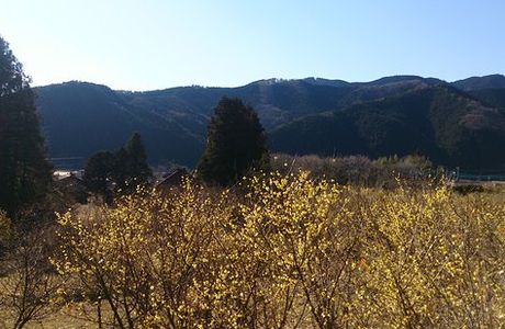 Robai no Sato