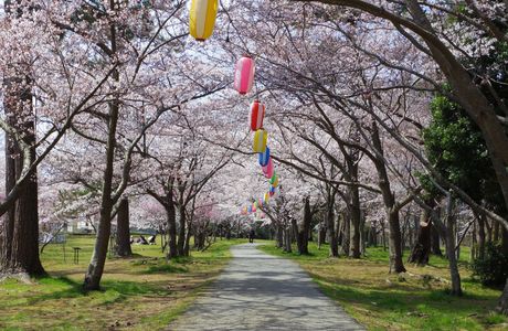 Ippommatsu Park