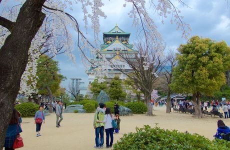 Chuo Park