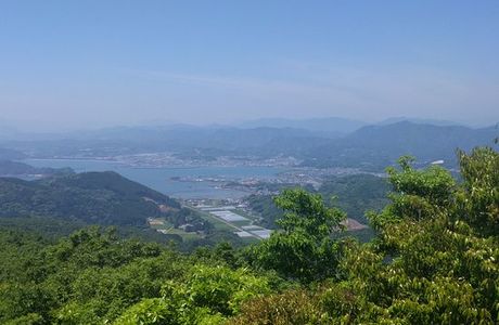 Mt. Tomi