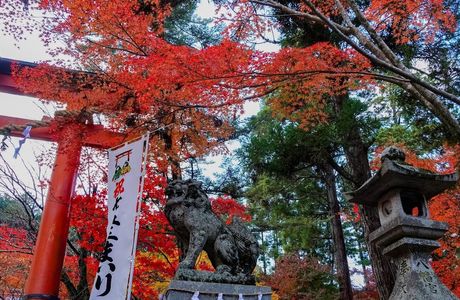 Kuwayama Shrine
