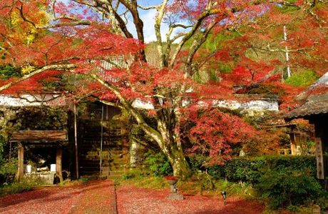 Jinzoji Temple