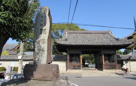 Ikaruga Temple 1