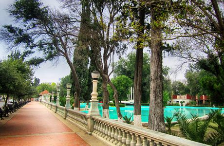 Alameda Zaragoza