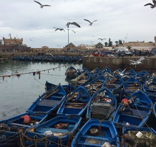 Essaouira Fishing Port