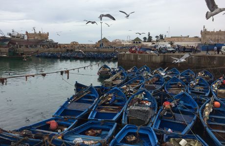 Essaouira Fishing Port