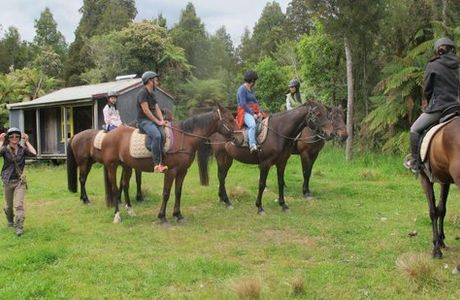 Punakaiki Horse Treks