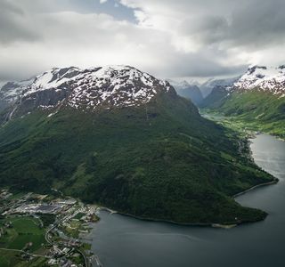 Hjortegarden