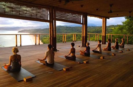 SoulTree Yoga