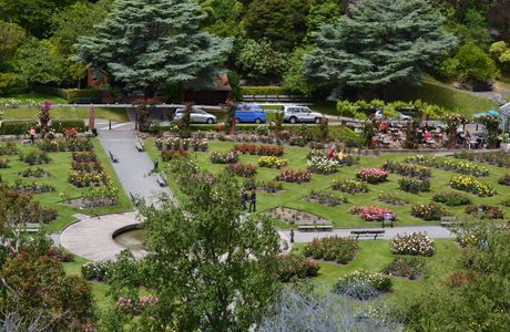 Wellington Botanic Garden