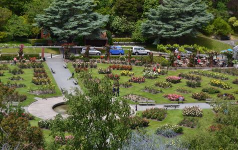 Wellington Botanic Garden 1