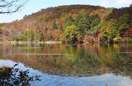 Kannonnuma Forest Park