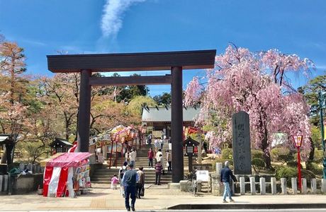 Sakabuta Park