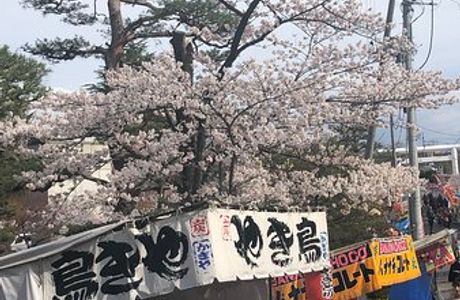 Kaiseiyama Park