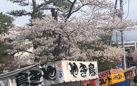 Kaiseiyama Park 1