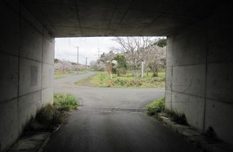 Miyazawa Ruins