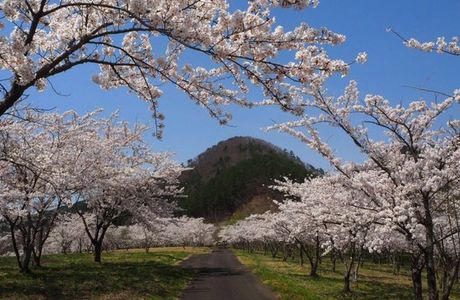 Shichikashuku Dam Nature Resting Park