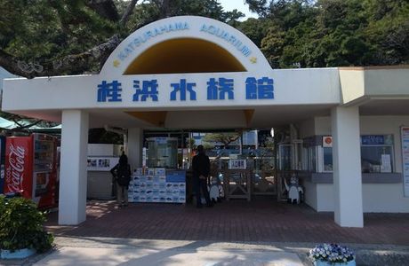 Katurahama Aquarium