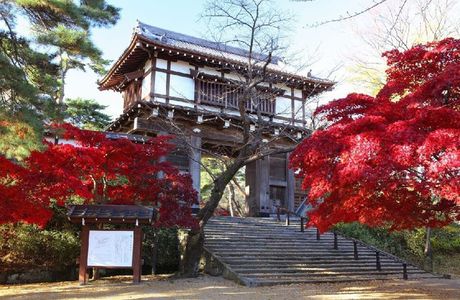 Kubota Castle