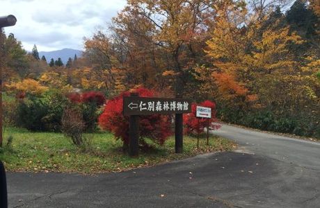 Nibetsu Forest Museum