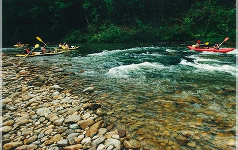 Endau Rompin National Park 1