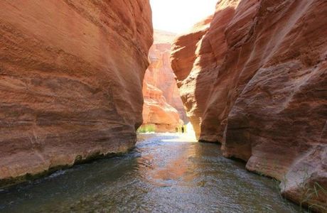 Mujib Nature Reserve