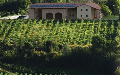 Agricola Guareschi 1