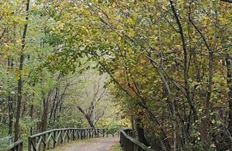 Pista ciclabile Valle Olona