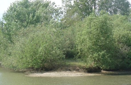 Parco La Barona