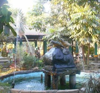 Animals and Ornamental Plants Market