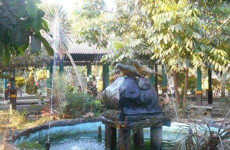 Animals and Ornamental Plants Market
