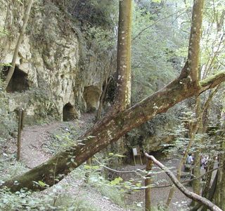 Tombe rupestri di San Liberatore