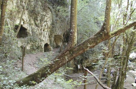 Tombe rupestri di San Liberatore